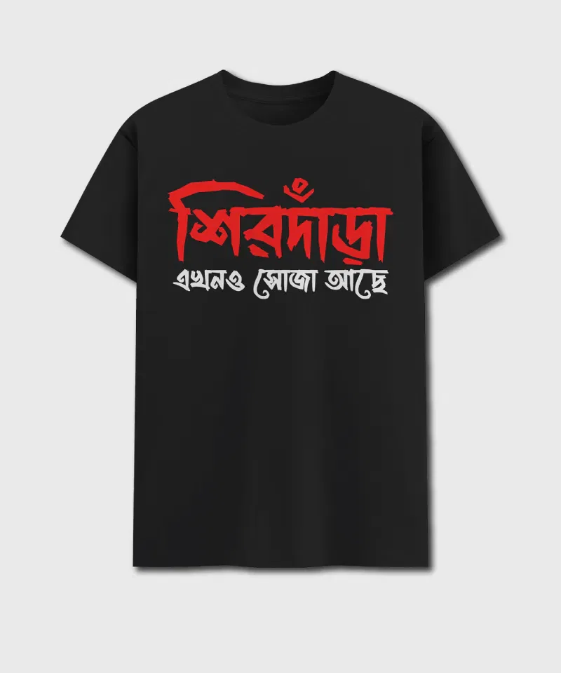 Sirdara Ekhono Soja Ache - Image 4