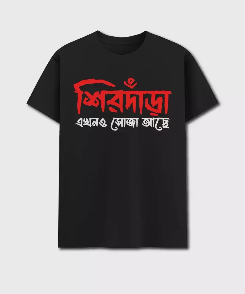 Sirdara Ekhono Soja Ache